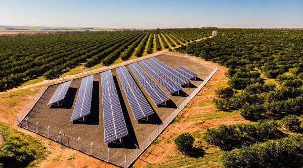 Energia solar para irrigação no campo - Energia solar rural em Dourados e região